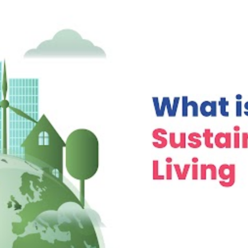 A Guide for Beginners on Sustainable Living: Towards Green Future