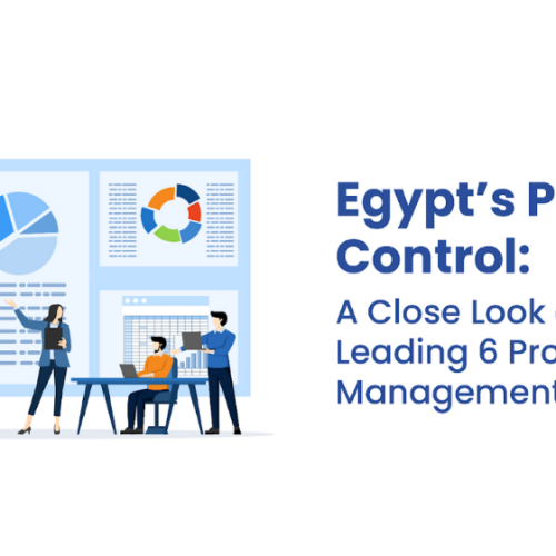 Egypt’s Project Control: A Close Look at the Leading 6 Project Management Softwares