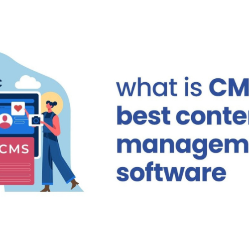 Content Management System: Top Five Softwares for Your Business in 2024