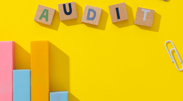 How to Choose the Right Audit Software for Your Business Needs